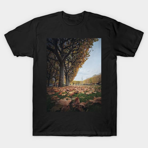 Beautiful day in the autumn park T-Shirt by psychoshadow